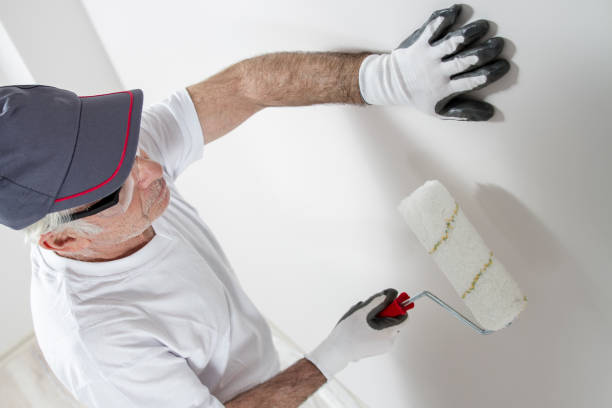 Mold Documentation for Insurance Claims in Watauga, TX